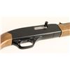 Image 3 : Winchester 190 Cal: .22 LR SN: B1743709