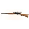 Image 2 : Winchester 190 Cal: .22 L/LR SN: B1659220