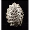 Image 1 : Fancy Ladies Diamond Cocktail Ring