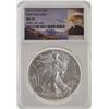 Image 1 : 2015 NGC MS70 First Release American Silver Eagle