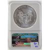 Image 2 : 2015 NGC MS70 First Release American Silver Eagle