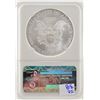 Image 2 : 2010 NGC MS70 American Silver Eagle