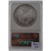 Image 2 : 2006 NGC MS69 American Silver Eagle