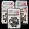 Image 1 : Lot of (5) NGC MS69 2016 Canadian Cougar