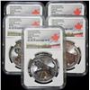 Image 1 : Lot of (5) NGC MS69 2016 Canadian Cougar