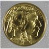 Image 1 : 2009 1oz American Gold Buffalo