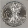 Image 1 : 1996 NGC MS69 American Silver Eagle