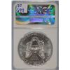 Image 4 : 1996 NGC MS69 American Silver Eagle