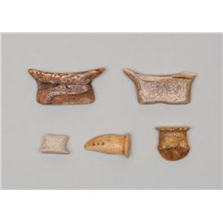 Five Inuit Marine Ivory Labrets 1/2" L. - 1 3/4" L.  Good Condition NOT ALLOWED TO SHIP OUTSIDE CANA