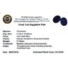 Image 2 : 12.54ctw Oval Cut Sapphire Parcel