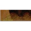 Image 2 : BEV DOOLITTLE " THE EARTH IS MY MOTHER" WITH BOOK