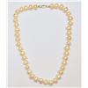 Image 1 : #26-NATURAL FRESHWATER PEARL NECKLACE W/ COA