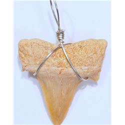 #32-REAL SHARK TEETH