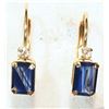 Image 1 : #43-10KT GOLD SAPPHIRE DIAMOND EARRINGS W/ COA