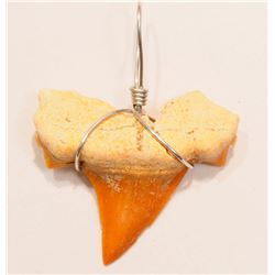 #38-REAL SHARK TOOTH