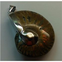 AMMOLITE FOSSIL PENDANT