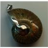 Image 1 : AMMOLITE FOSSIL PENDANT