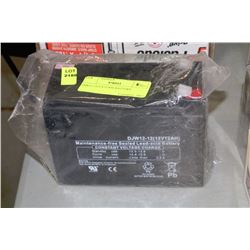 DJN12-12(12V12AH) BATTERY