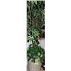 Image 1 : ARTIFICIAL PLANT