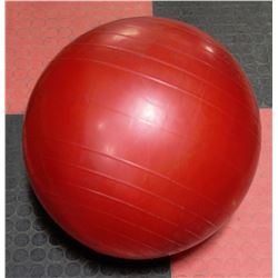 THERA-BAND 55 CM PROFESSIONAL RED