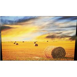 CANVAS WALL ART OF FARMERS FIELD