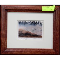 "EARLY FLIGHT" FRAMED & SIGNED PICTURE BY