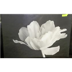 WHITE FLOWER CANVAS PICTURE 24"X36"