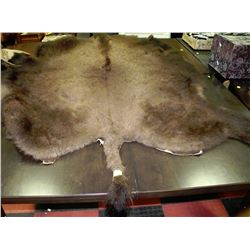BUFFALO RUG WITH TAIL 77"X60"