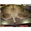 Image 1 : BUFFALO RUG WITH TAIL 77"X60"