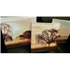 Image 1 : 3-PC CANVAS WALL ART EACH PIECE IS 16"X16"