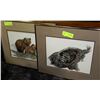 Image 1 : FRAMED BEAR AND RACOON PICTURES