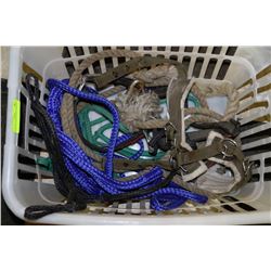 FOUR HALTERS & HORSE HOBBLES