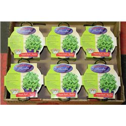 6 BUCKETS OF HERBS - SWEET BASIL