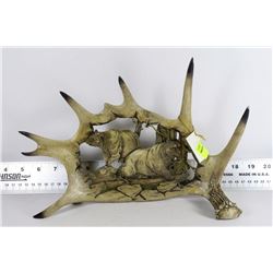 FAUX ANTLER BEAR DISPLAY