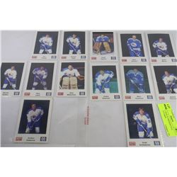 COLLECTION OF FREDERICTON EXPRESS CARDS