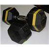 Image 1 : 2-25LB DUMBELLS