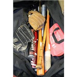 SPORTS BAG W/7 BASEBALL BATS, 7 BALLS, 2 GLOVES