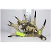 Image 1 : FAUX MOOSE DESIGN ANTLER DISPLAY ORNAMENT