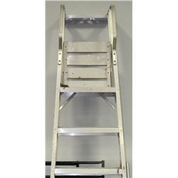 ALUMINUM LADDER 10'