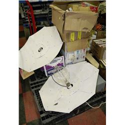 PALLET WITH COMMERCIAL TOMATO PLANT GROWING