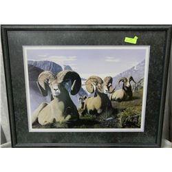 "WHERE THE BIG HORNS RANGE" LIMITED EDITION SIGNED