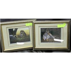 SET OF LION PICTURES - 11.5" X 14.5"