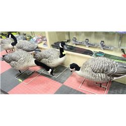 LOT OF 5 FULLSIZE GEESE DECOYS WITH STANDS,ALL