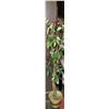 Image 1 : ARTIFICIAL PLANT 6'