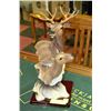 Image 1 : LARGE DEER HEAD 14.5"H CAST RESIN