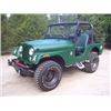 Image 2 : 1970 JEEP CJ5