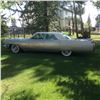 Image 8 : 1964 CADILLAC COUPE DEVILLE
