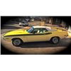 Image 2 : 1971 DODGE CHALLENGER