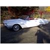 Image 1 : 1964 FORD THUNDERBIRD