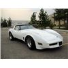 Image 2 : 1981 CHEVROLET CORVETTE T-TOP